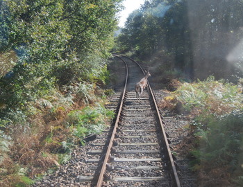 Association de Chasse